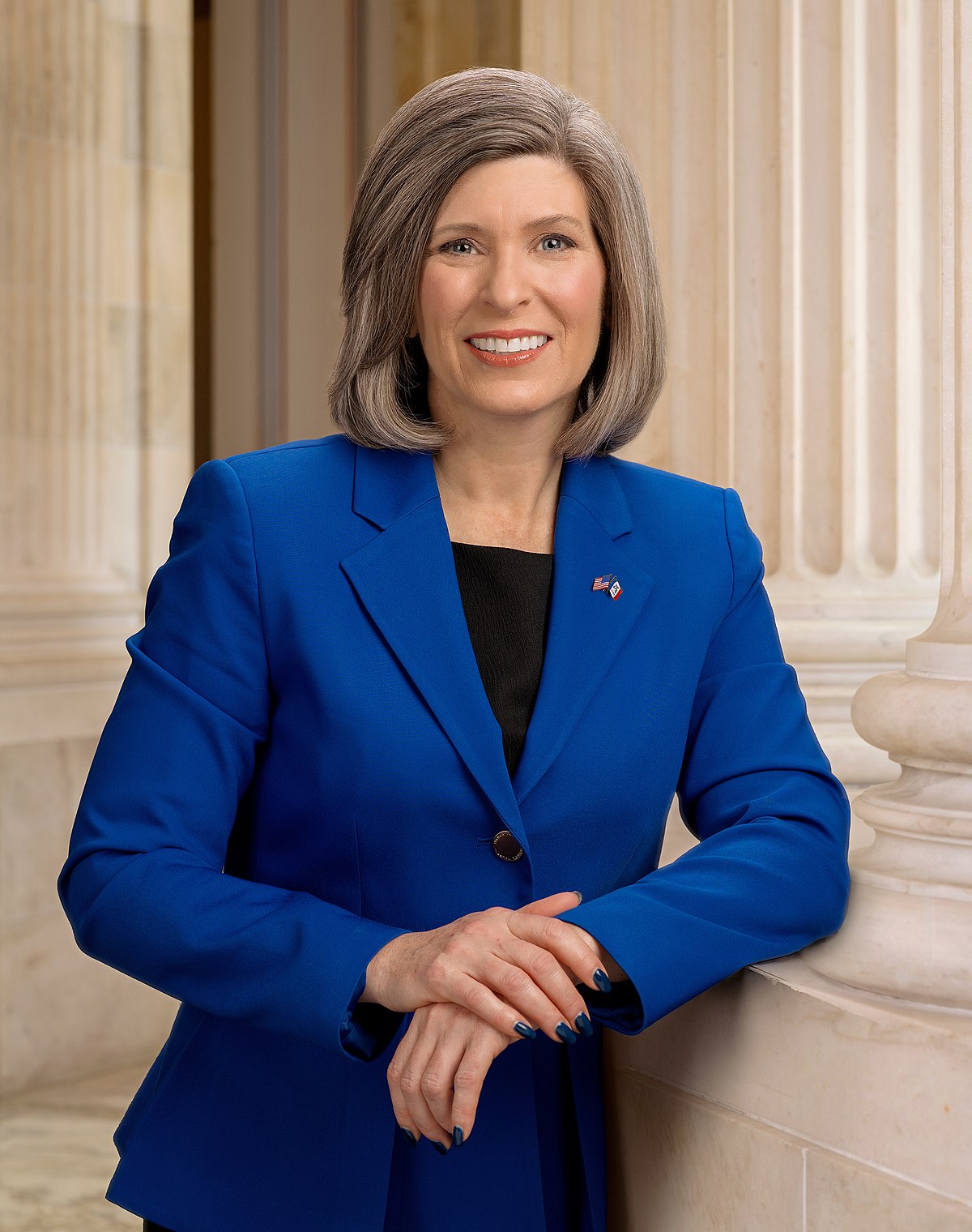 joni ernst committee assignments